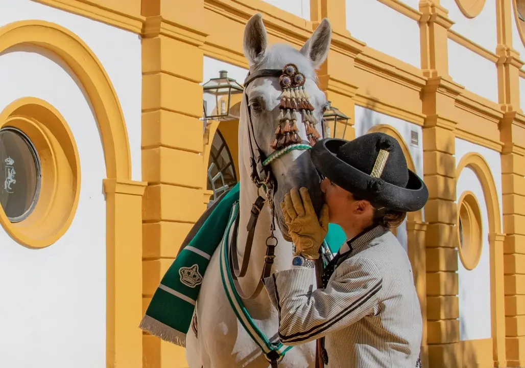 Jinete y caballo de la Real Escuela de Arte Ecuestre en Jerez
- REAL ESCUELA DE ARTE ECUESTRE
