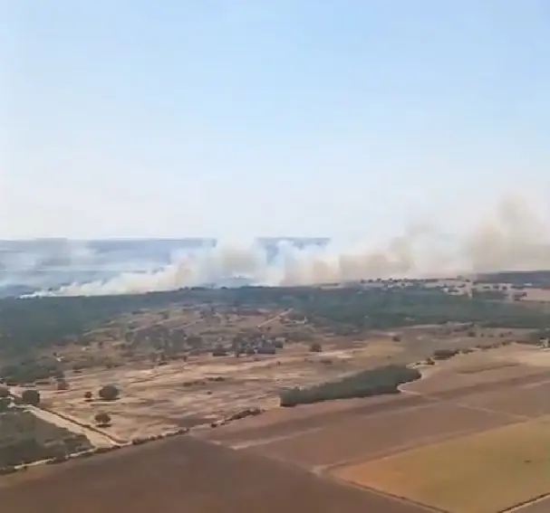 Vista a&eacute;rea del incendio declarado en la zona rural de Jerez. | PLAN INFOCA
