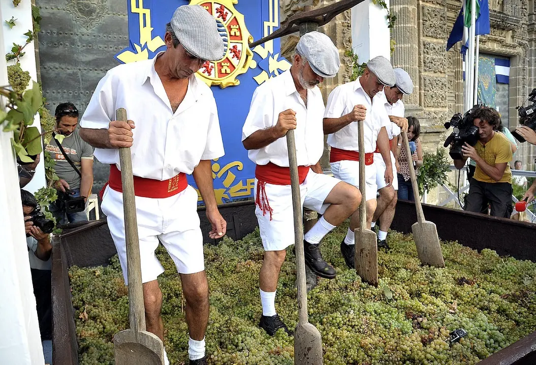 Acto de la Pisa de la Uva, que marca el inicio de las Fiestas de la Vendimia de Jerez de la Frontera (C&aacute;diz) en una imagen de archivo
- AYTO DE JEREZ - Archivo