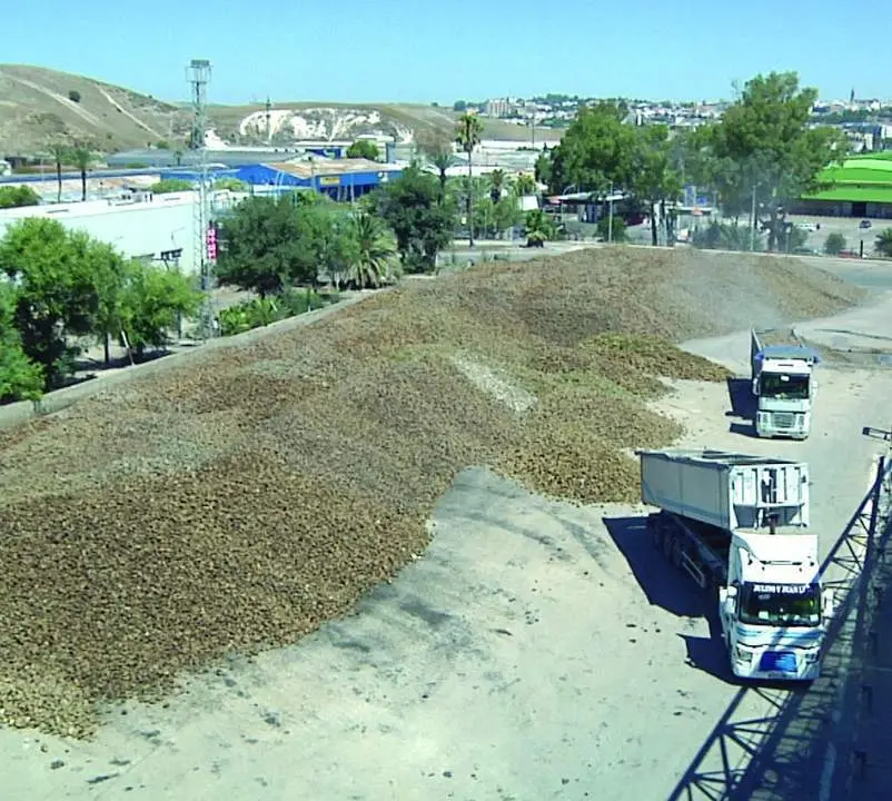  La azucarera de Jerez - 7 TV 