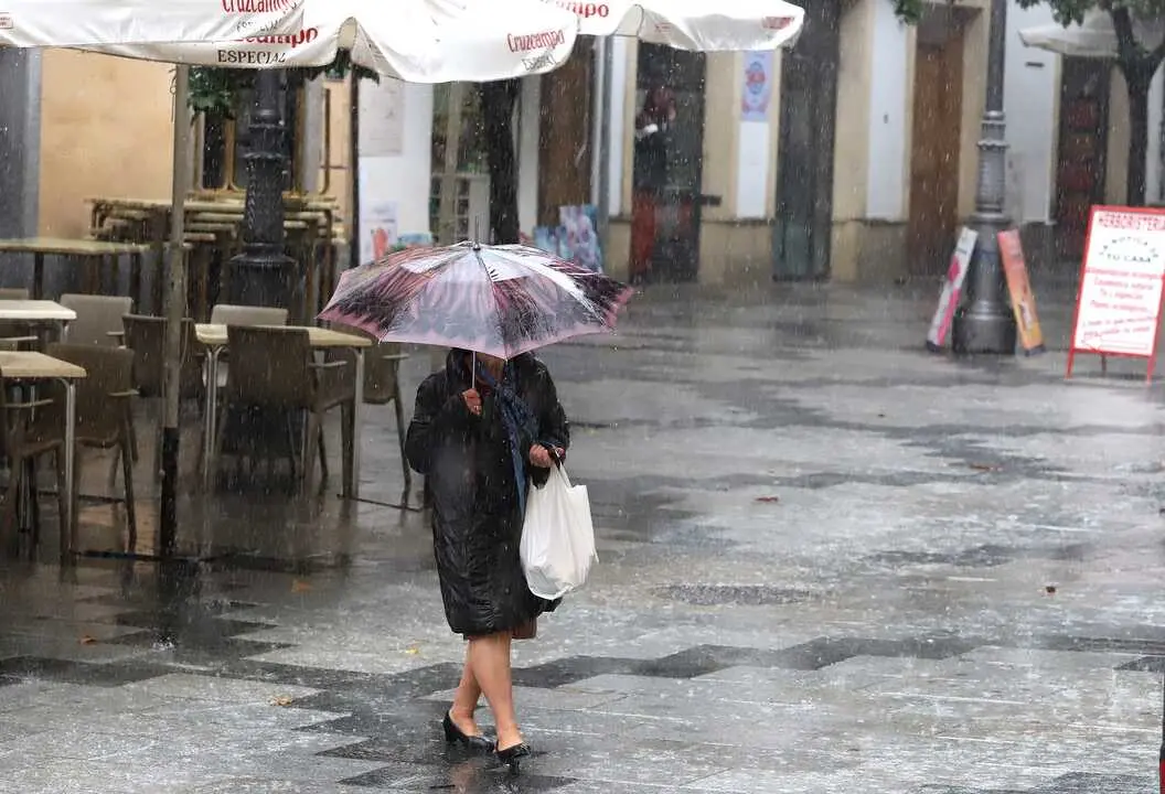  Imagen de archivo de lluvia en el centro de Jerez. | Viva Jerez. 