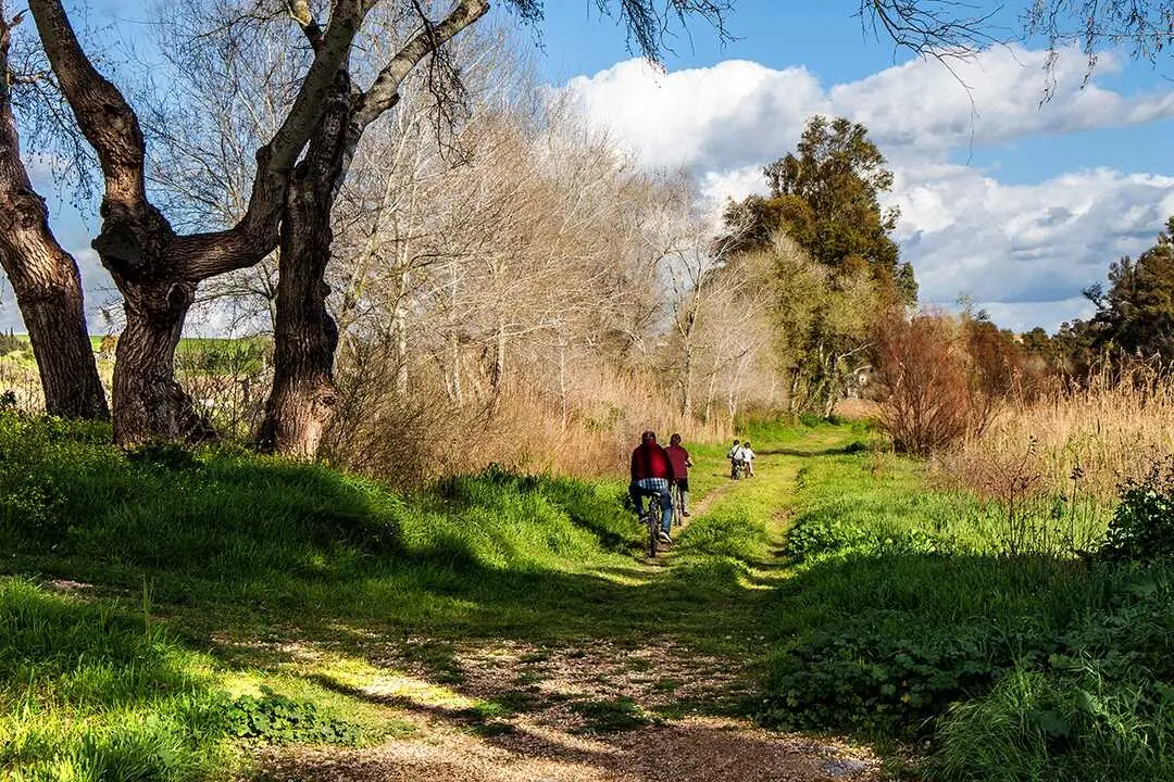  Entorno del r&iacute;o Guadalete. | Ecologistas en Acci&oacute;n 