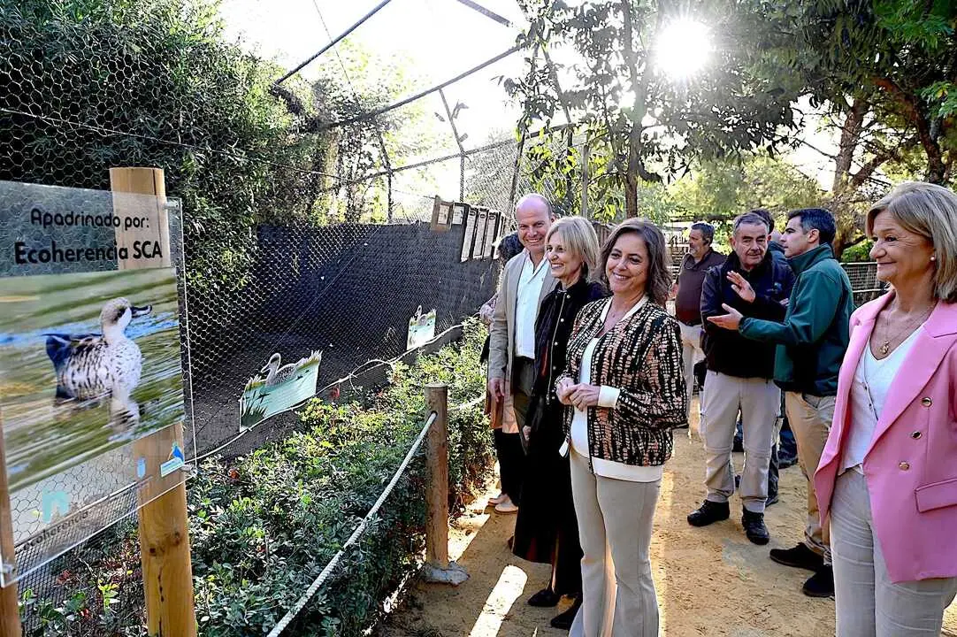  La alcaldesa junto a la consejera visitando el h&aacute;bitat de la cerceta pardilla en el Zoo de Jerez. | jerez.es 