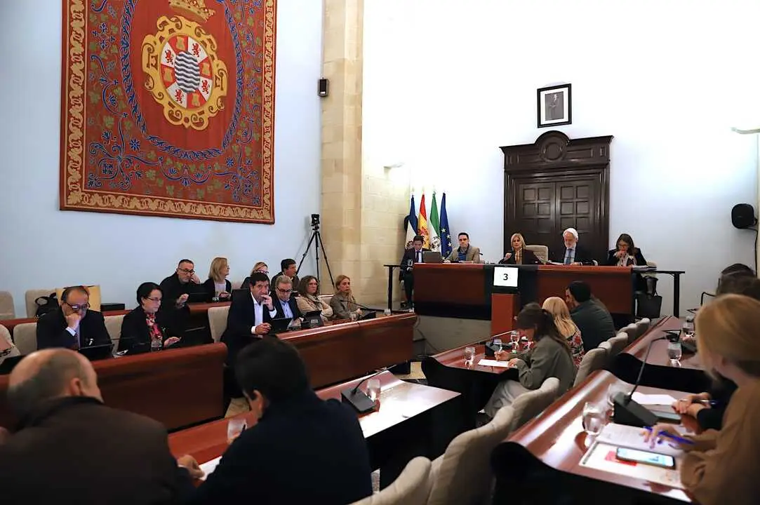  Una imagen del Pleno municipal del Ayuntamiento de Jerez. | Viva Jerez. 