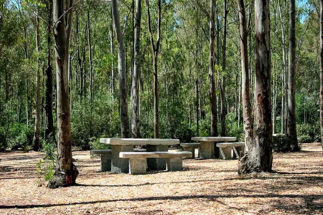  Parque periurbano de Las Aguilillas, en Jerez. | Ecologistas en Acci&oacute;n. 