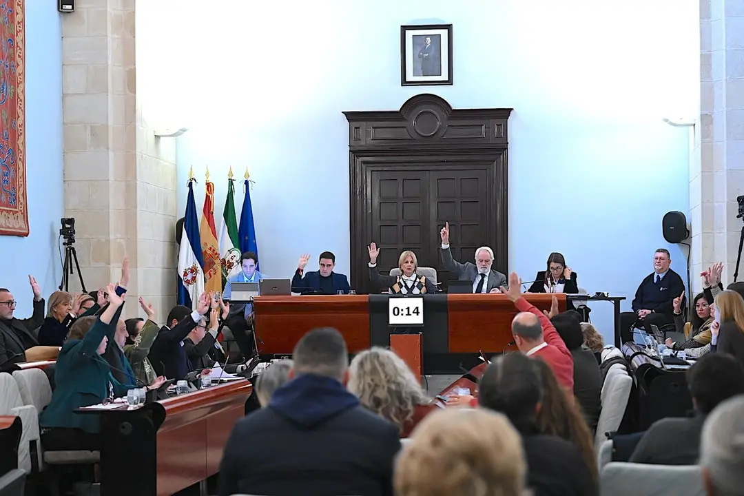  Imagen del Pleno de Jerez de este mes de diciembre. |  jerez.es 