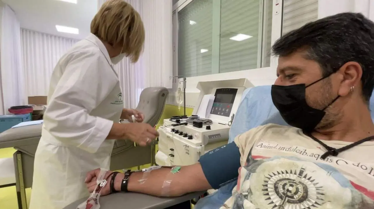  Donaci&oacute;n de sangre. - AI 