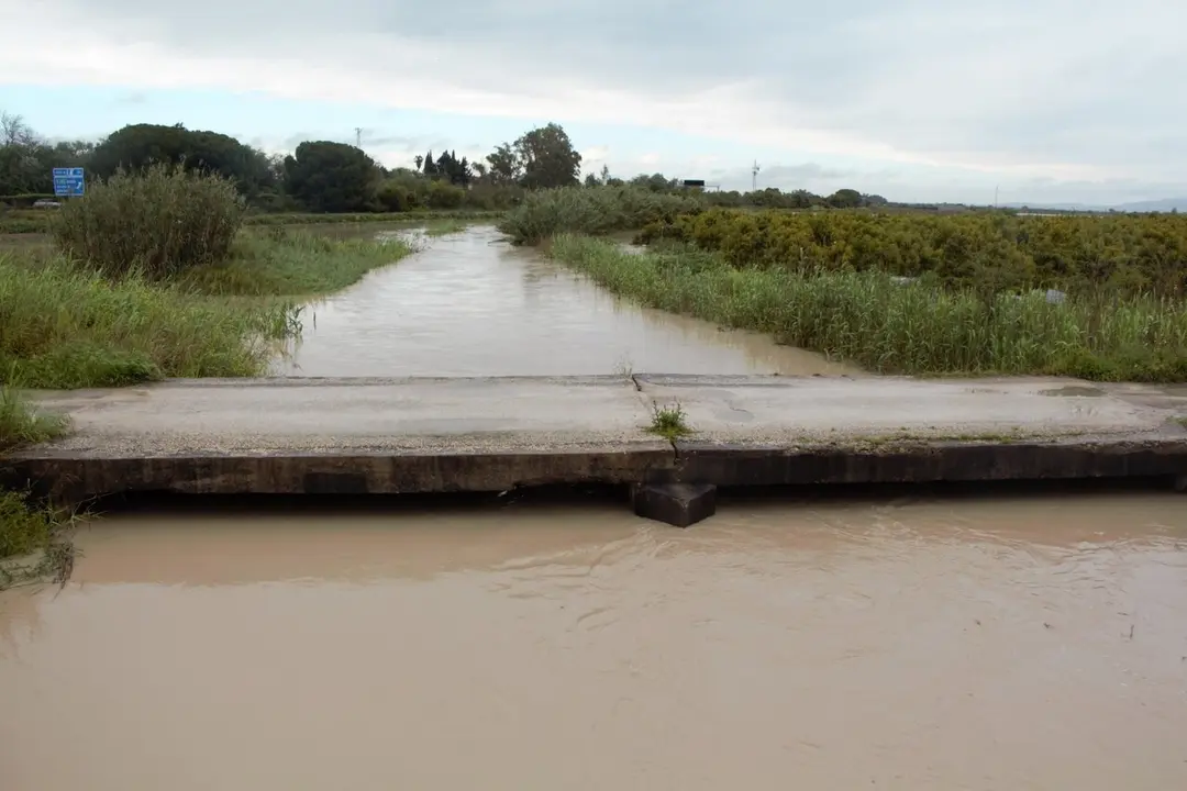  Estado actual del Guadalete, en el entorno del Arroyo Salado. | Ecologistas en Acci&oacute;n. 