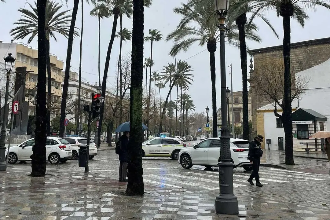  Alameda Cristina cortada con la palmera vencida hacia la calle al fondo. | Viva 