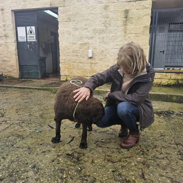  Carmen Pina con uno de los perros rescatados tras la inundaci&oacute;n. |  jerez.es 