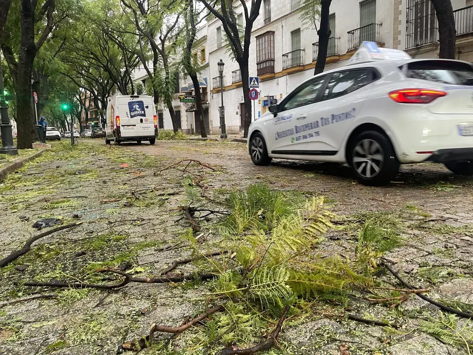  Efectos del temporal de viento en la calle Porvera. | Jim&eacute;nez. 