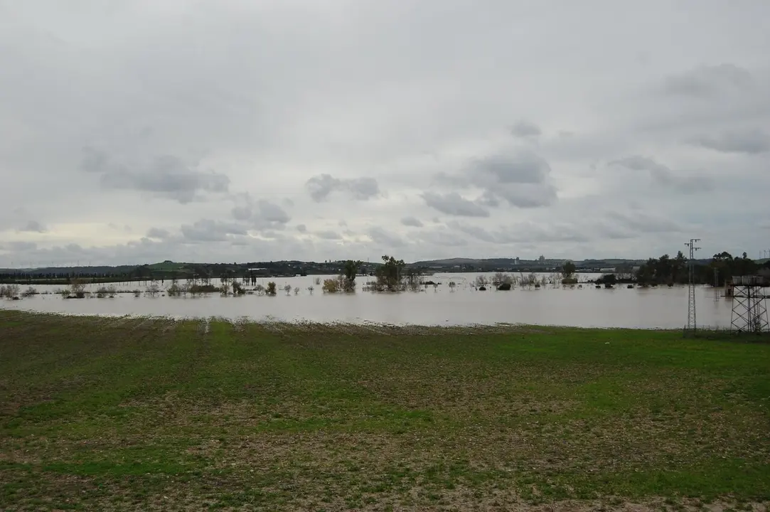  La zona agr&iacute;cola inundada por el Guadalete. |  Jim&eacute;nez 