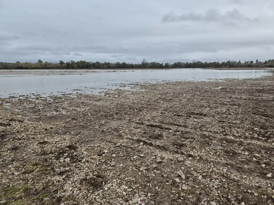  Un campo de cebollas arrasado por la crecida del Guadalete. |  Viva 