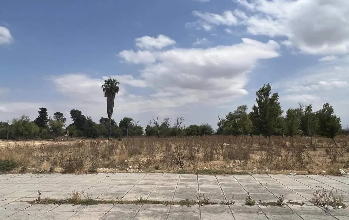  Imagen de la parcela de Pozoalbero donde se desarrollar&aacute; el proyecto.  - Andaluc&iacute;a Informaci&oacute;n 
