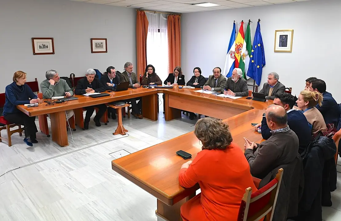  Comision especial de la Capitalidad Jerez 2031. | Jerez-es 