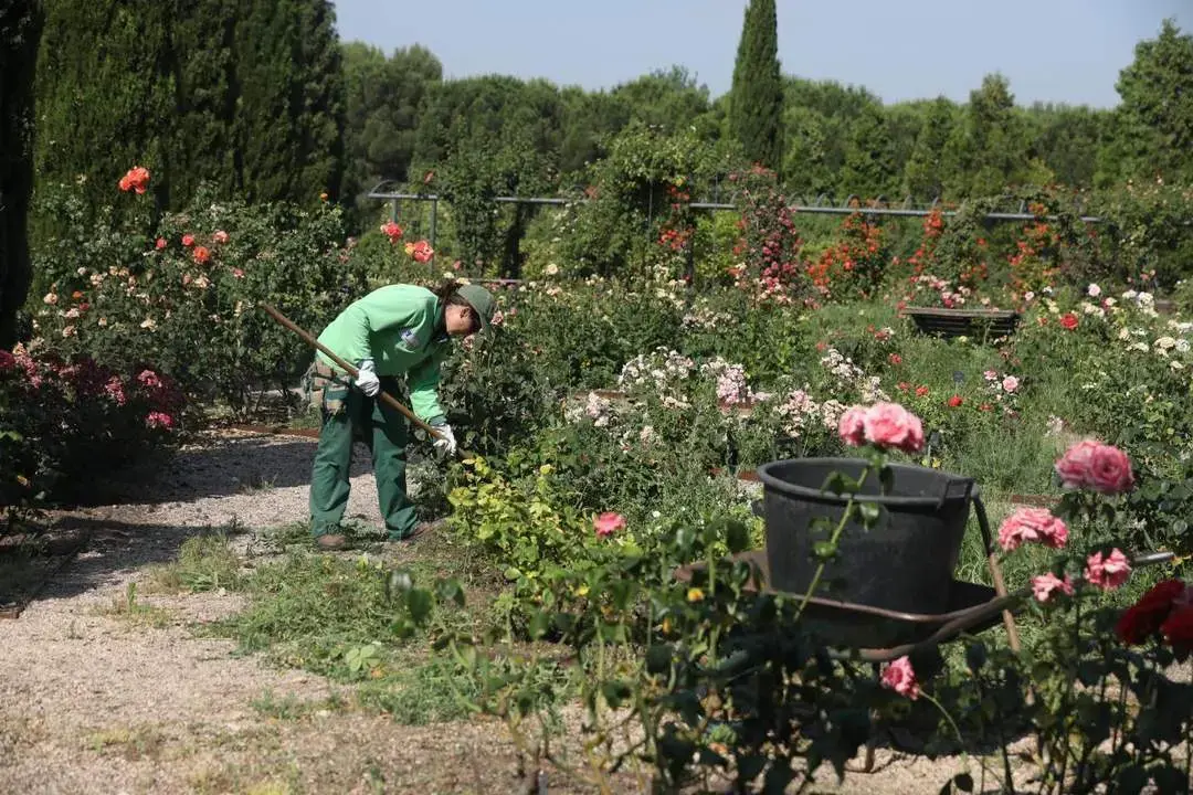 Una mujer empleada en jardiner&iacute;a. - Europa Press (archivo)