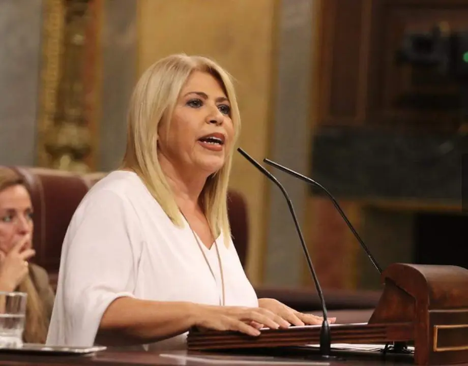  La diputada socialista Mamen S&aacute;nchez, en una intervenci&oacute;n en el Congreso. |  Viva 