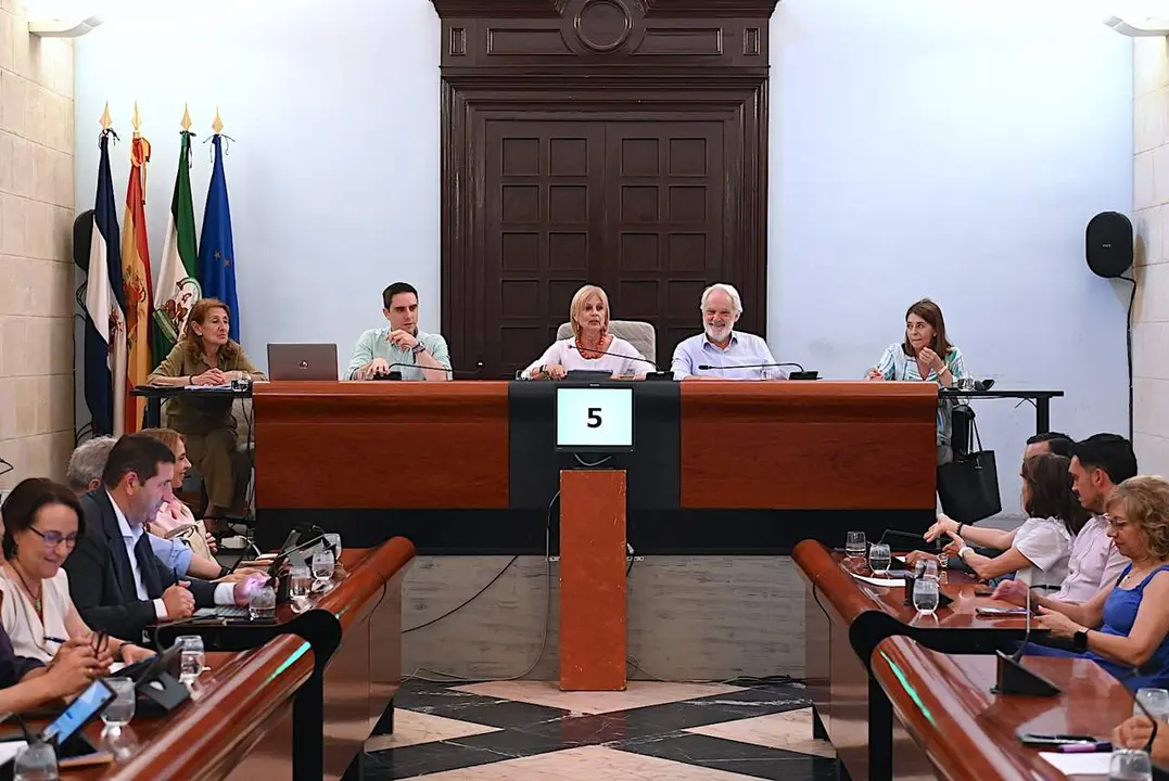  Una imagen del Pleno del Ayuntamiento de Jerez. | Viva Jerez. 