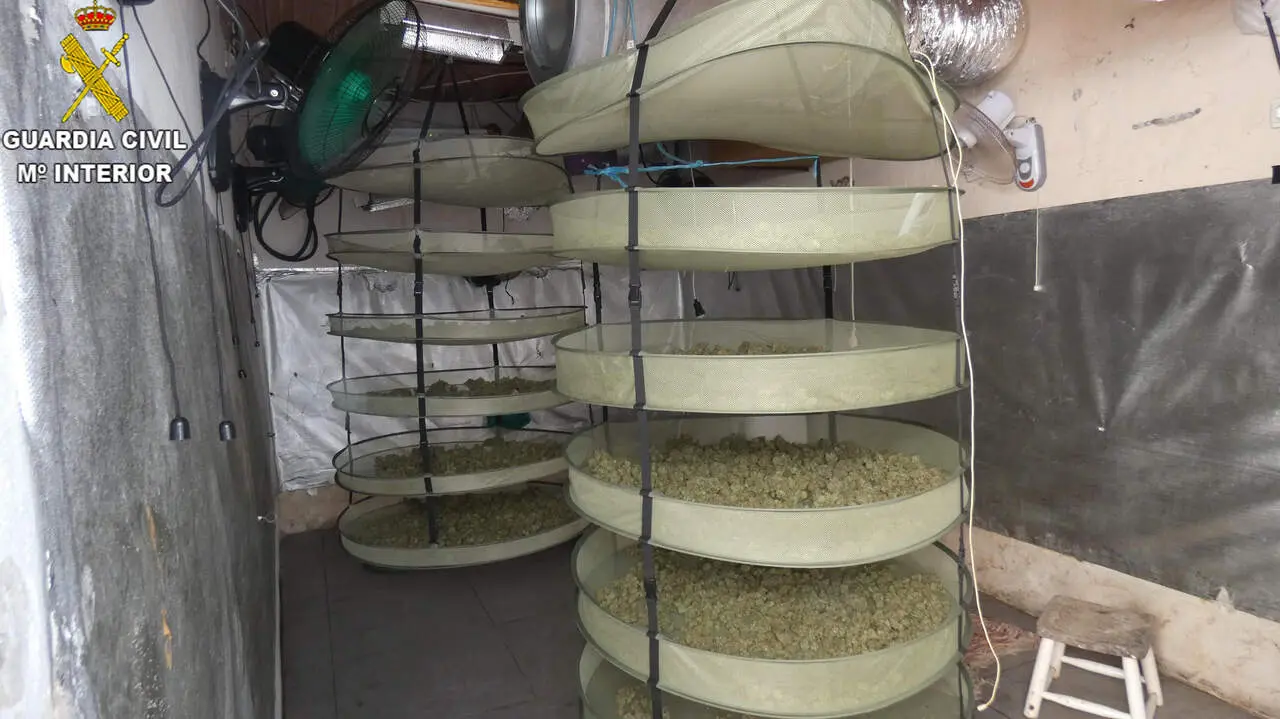 El cultivo de marihuana en el interior de la vivienda. | Guardia Civil 