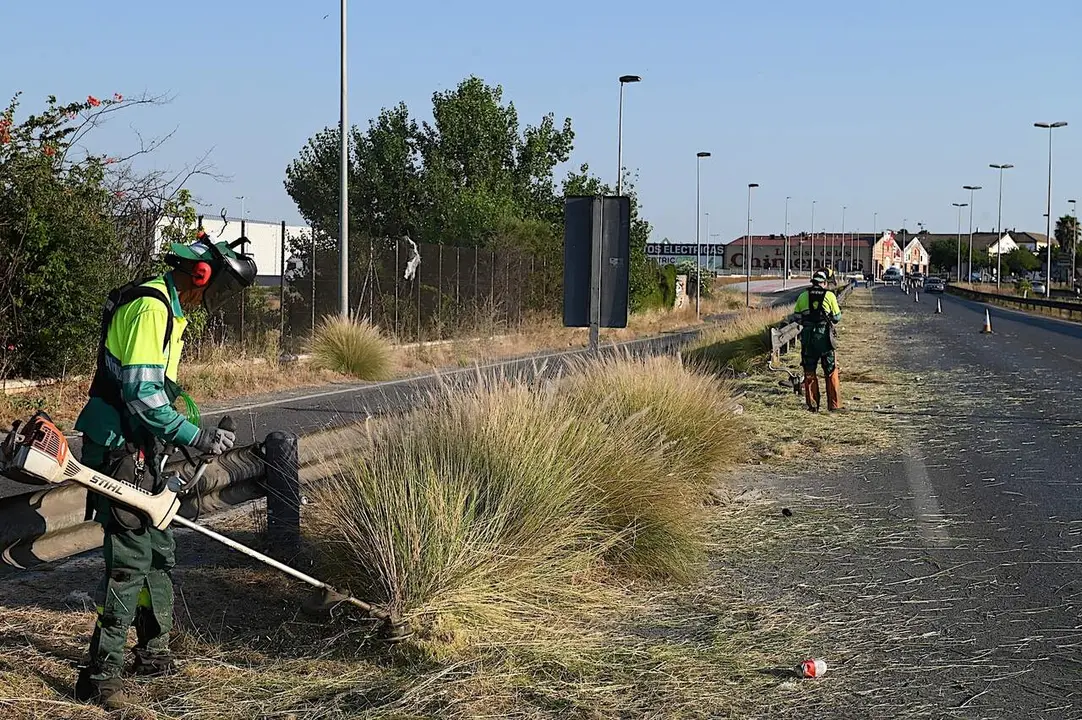  Trabajos de desbroce para aminorar el riesgo de incendios y mejorar la seguridad vial. | Viva Jerez. 