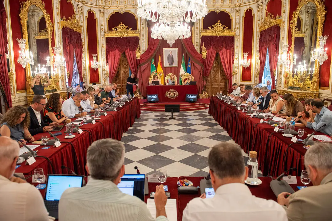  Sesi&oacute;n plenaria en la Diputaci&oacute;n de C&aacute;diz. | dipucadiz.es 