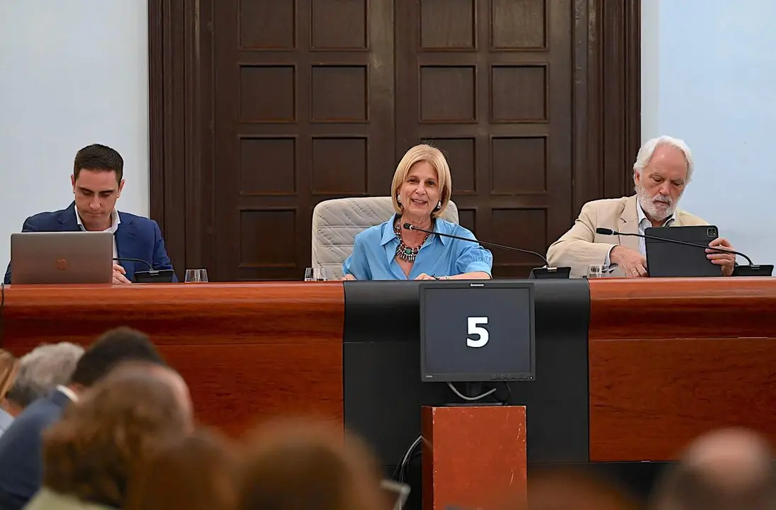  La alcaldesa, Mar&iacute;a Jos&eacute; Garc&iacute;a-Pelayo, presidiendo el Pleno municipal. | Viva Jerez. 