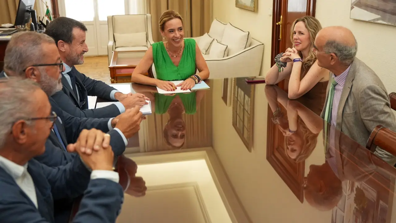 La presidenta de la Diputaci&oacute;n de C&aacute;diz, Almudena Mart&iacute;nez, ha mantenido un encuentro con una delegaci&oacute;n de la Fundaci&oacute;n Cultura Taurina de Jerez. | EP