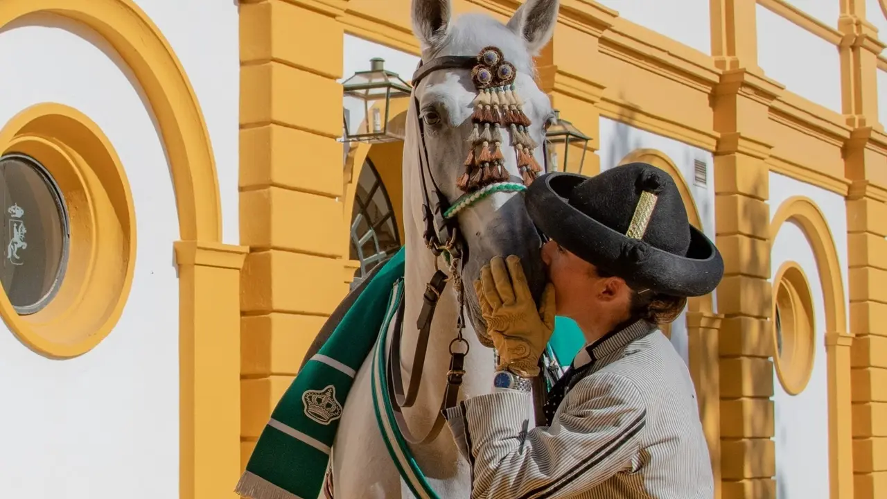 Jinete y caballo de la Real Escuela de Arte Ecuestre en Jerez
- REAL ESCUELA DE ARTE ECUESTRE