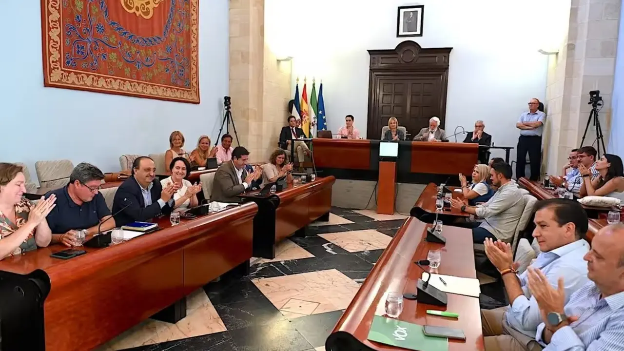 Pleno del Ayuntamiento de Jerez. | Viva Jerez.