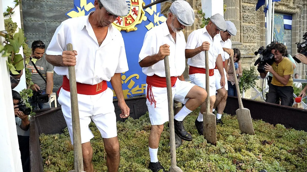 Acto de la Pisa de la Uva, que marca el inicio de las Fiestas de la Vendimia de Jerez de la Frontera (C&aacute;diz) en una imagen de archivo
- AYTO DE JEREZ - Archivo
