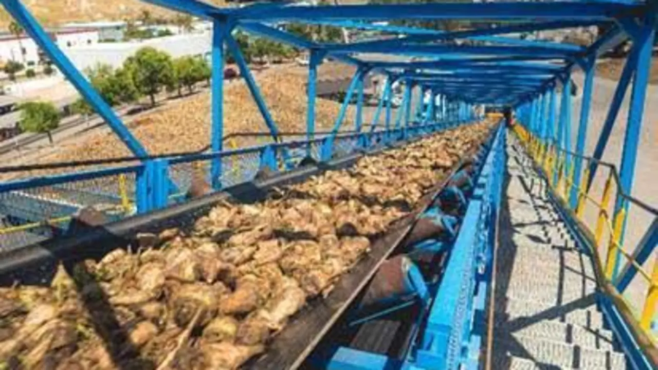  La remolacha en la f&aacute;brica azucarera del Portal - Viva 