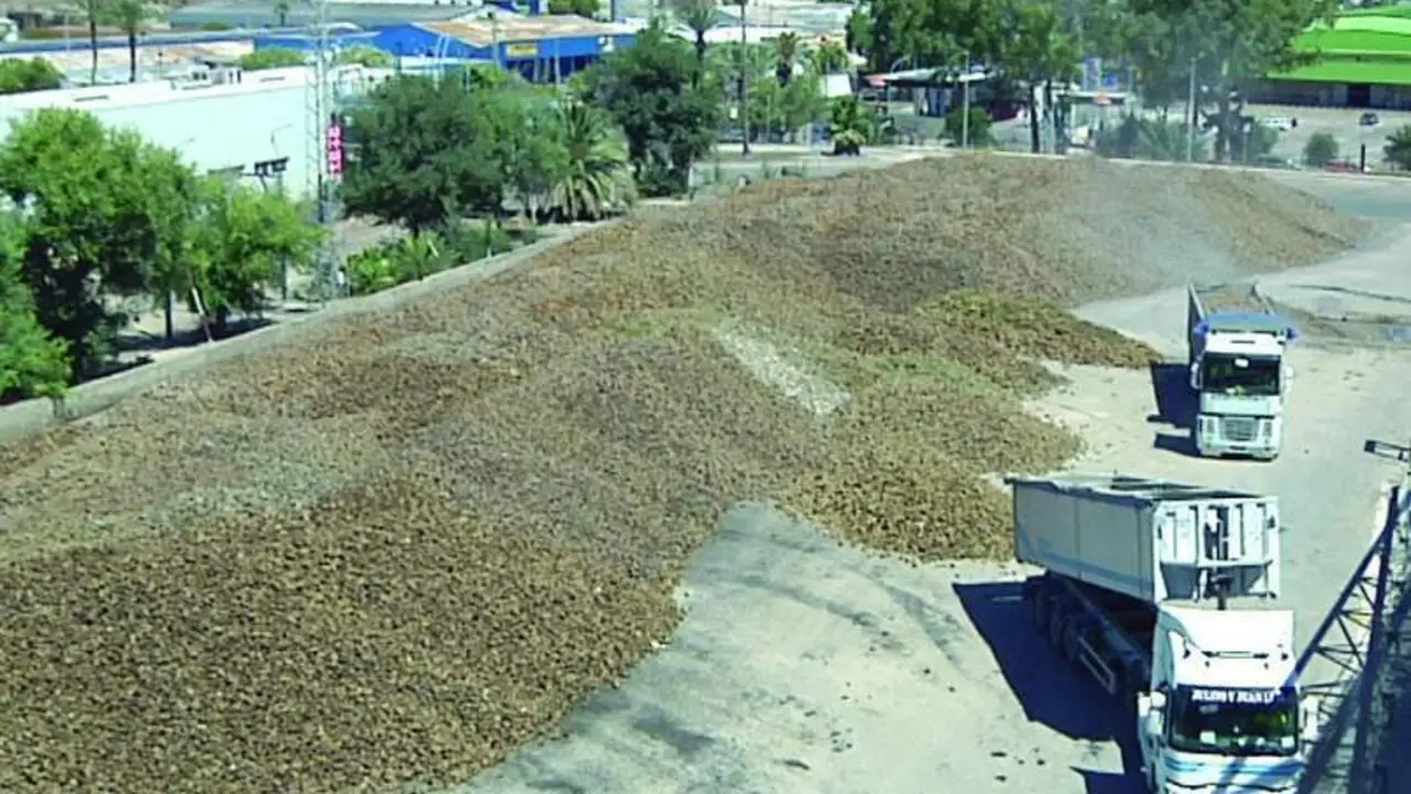  La azucarera de Jerez - 7 TV 