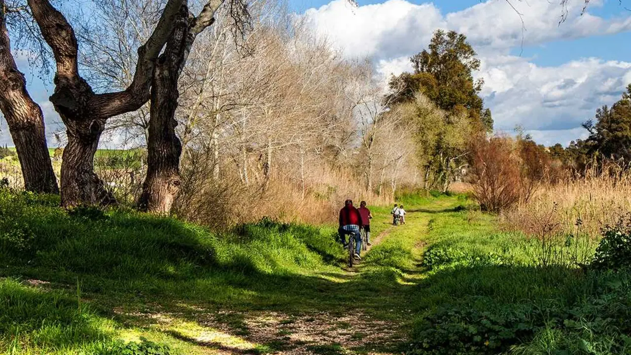  Entorno del r&iacute;o Guadalete. | Ecologistas en Acci&oacute;n 