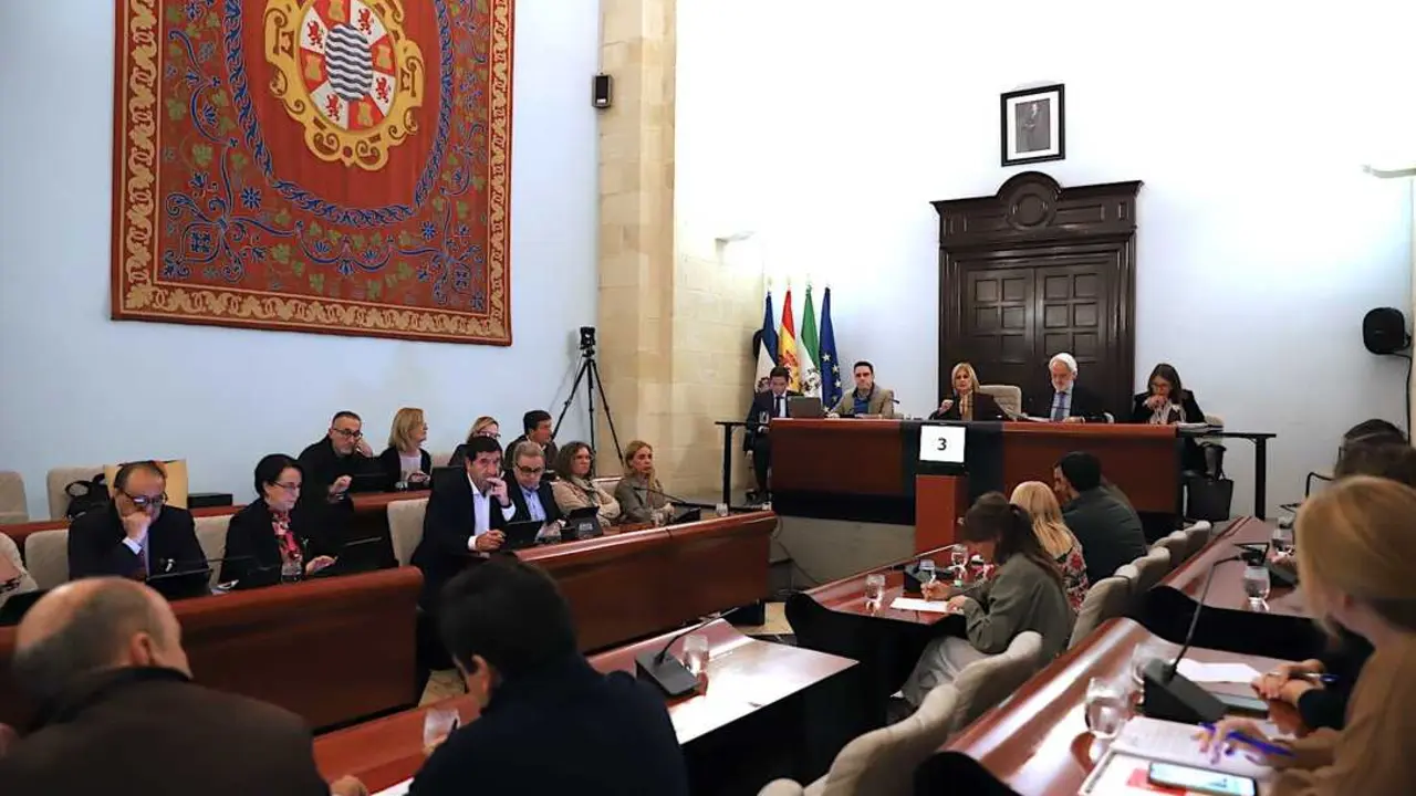 Una imagen del Pleno municipal del Ayuntamiento de Jerez. | Viva Jerez. 