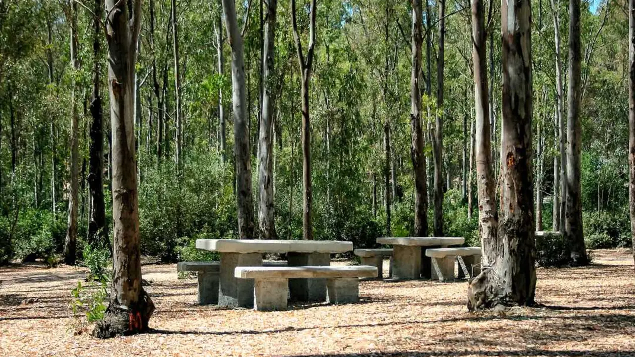  Parque periurbano de Las Aguilillas, en Jerez. | Ecologistas en Acci&oacute;n. 
