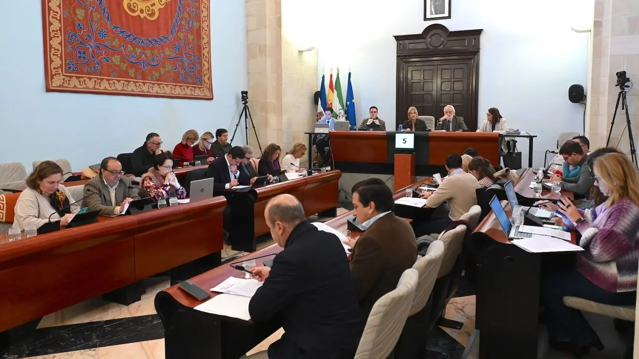  Pleno de Jerez en el que se ha aprobado la tasa de basura. | jerez.es 