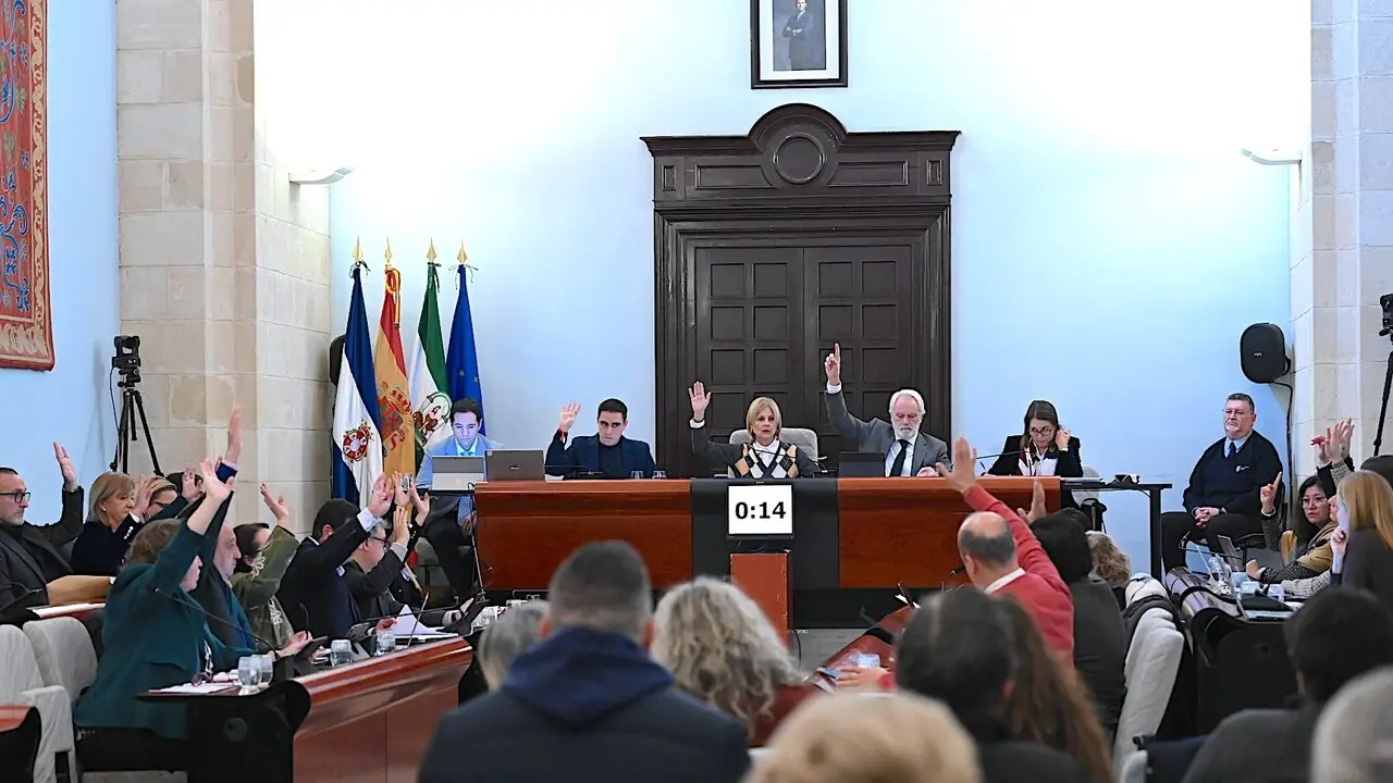  Imagen del Pleno de Jerez de este mes de diciembre. |  jerez.es 