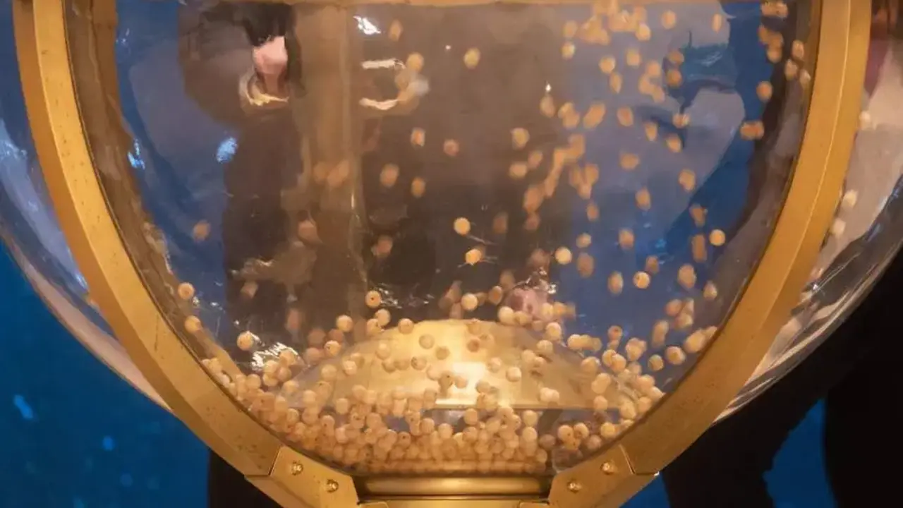 Sorteo de Navidad 2024. | EFE (archivo)