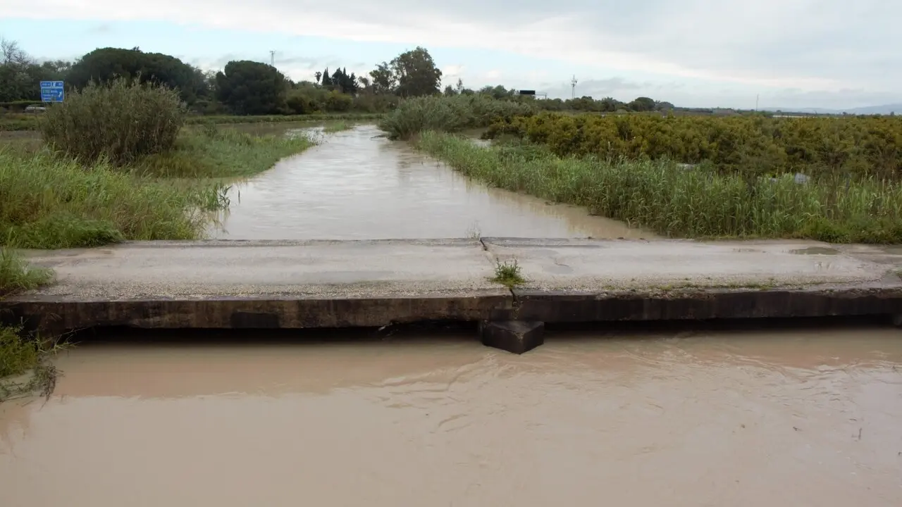  Estado actual del Guadalete, en el entorno del Arroyo Salado. | Ecologistas en Acci&oacute;n. 