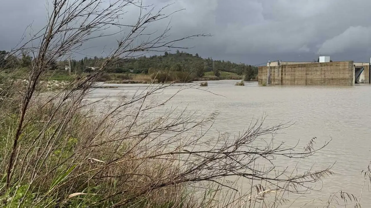  El cauce del Guadalete a su paso por Jerez en el d&iacute;a de ayer. | PSOE 