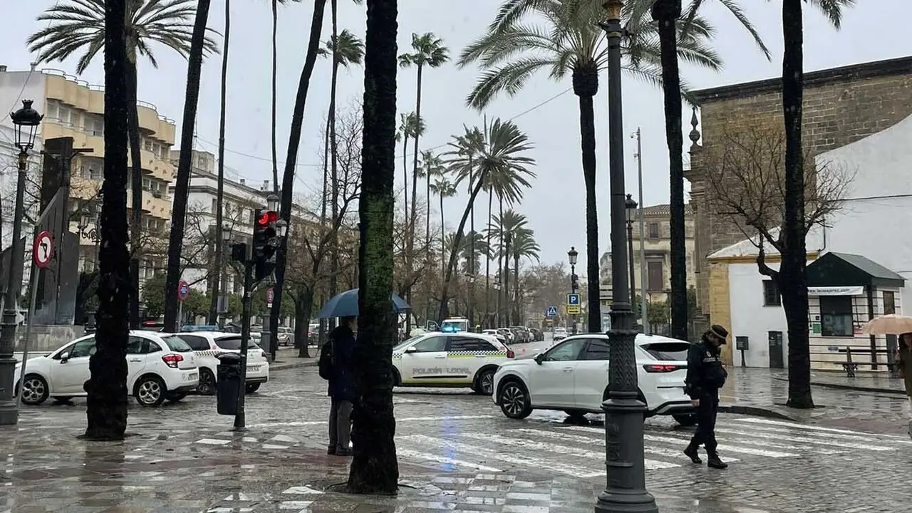  Alameda Cristina cortada con la palmera vencida hacia la calle al fondo. | Viva 