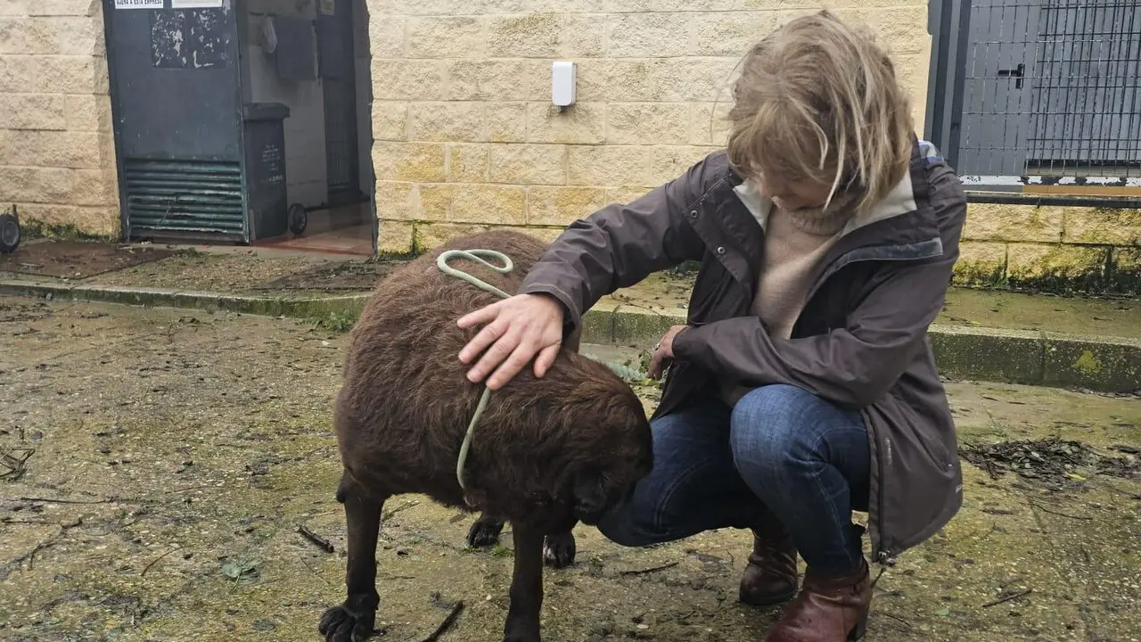  Carmen Pina con uno de los perros rescatados tras la inundaci&oacute;n. |  jerez.es 