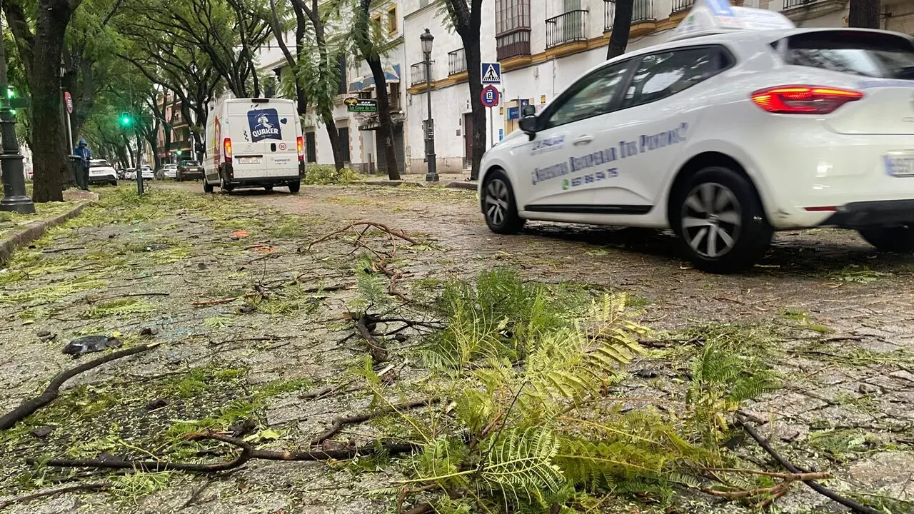  Efectos del temporal de viento en la calle Porvera. | Jim&eacute;nez. 