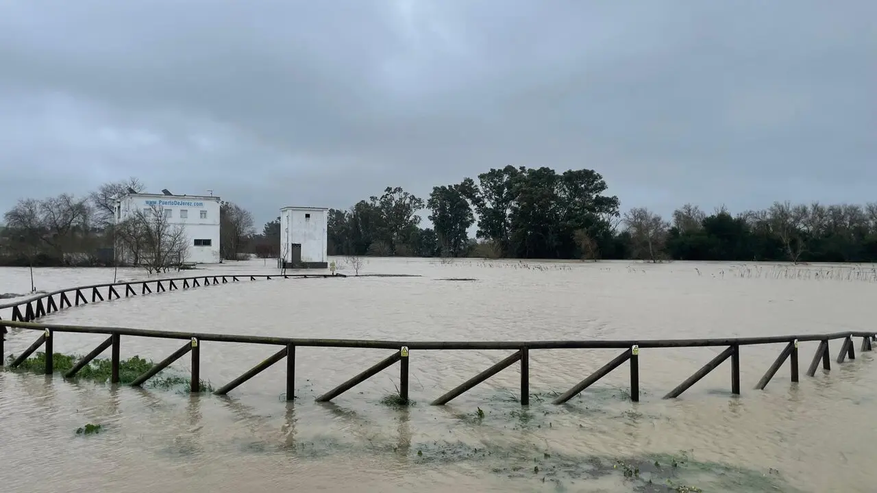  El r&iacute;o Guadalete, a su paso por La Corta. | Jim&eacute;nez. 