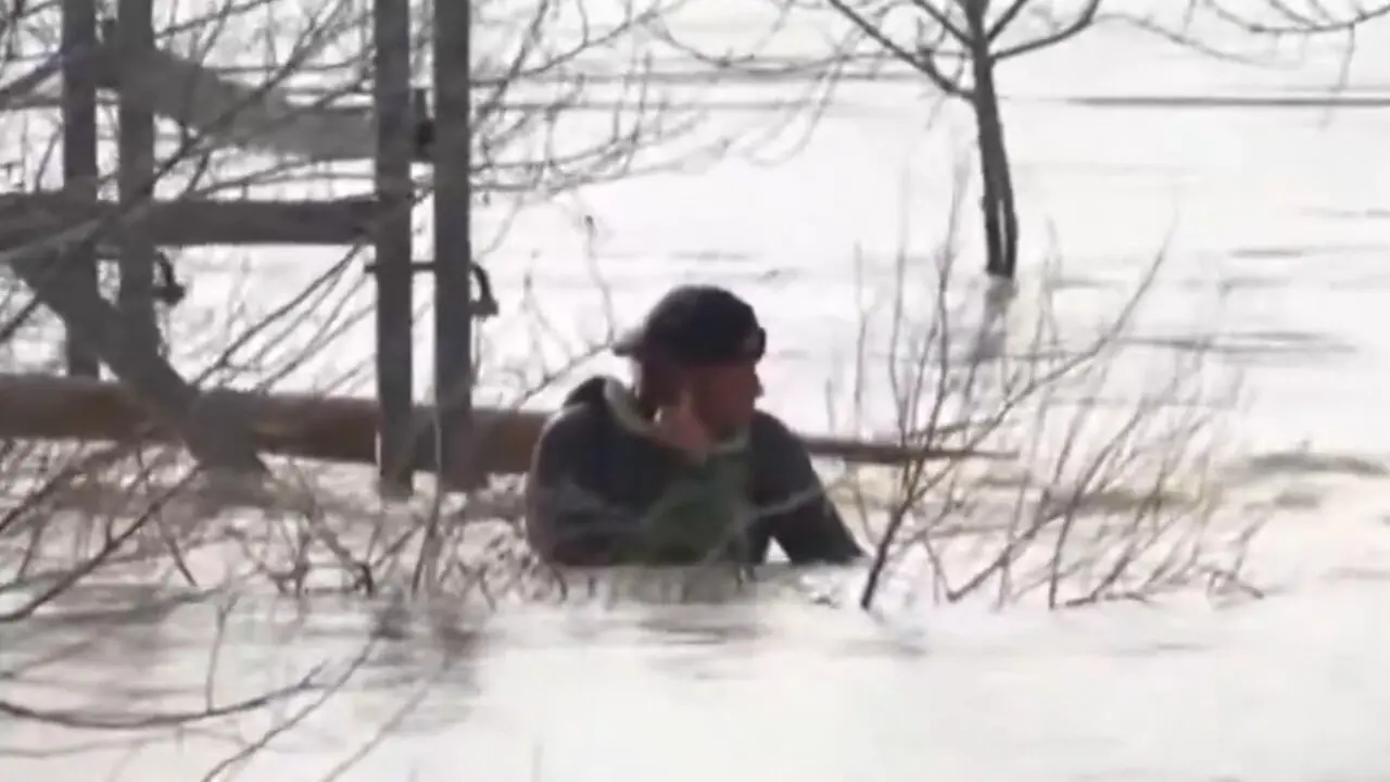  Imagen del individuo tras recorrer a nado un tramo del r&iacute;o. |  Canal Sur TV 