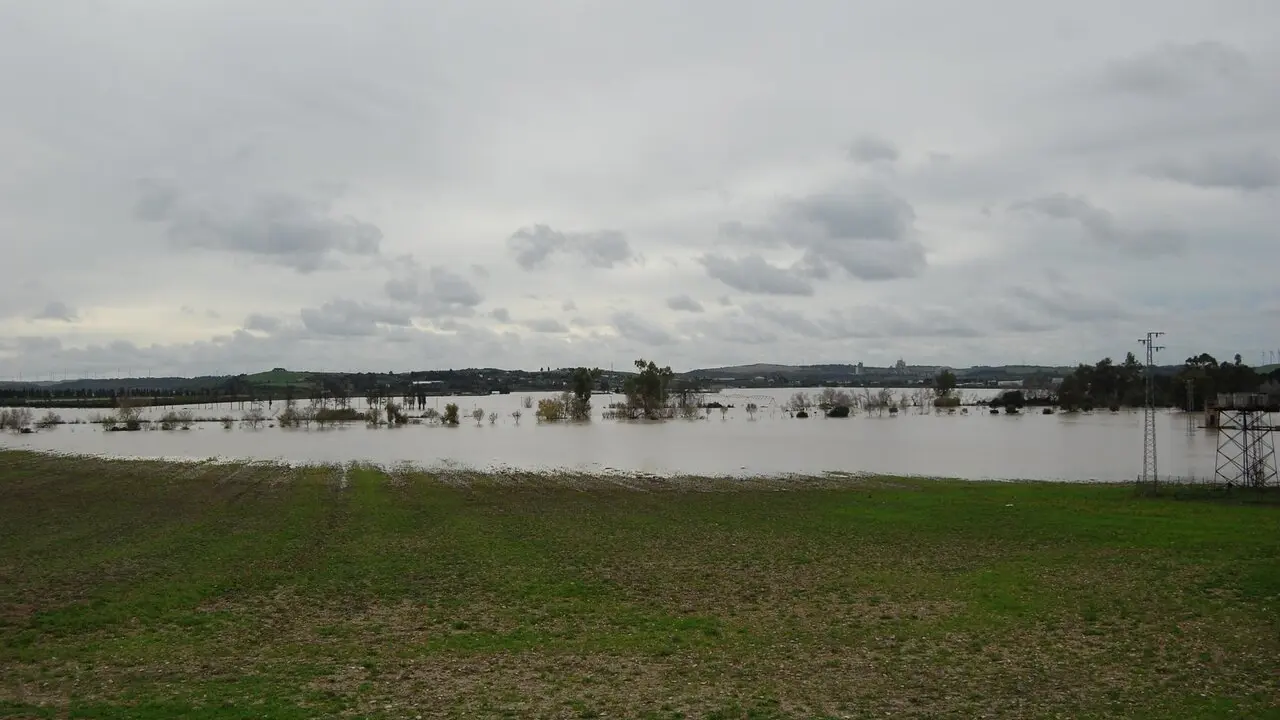  La zona agr&iacute;cola inundada por el Guadalete. |  Jim&eacute;nez 