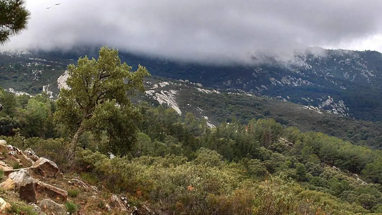  Montes de Propio de Jerez - jerez.es 