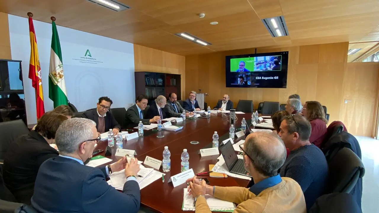  Una imagen de la reuni&oacute;n del Consejo Andaluz de Relaciones Laborales. | Viva Jerez. 