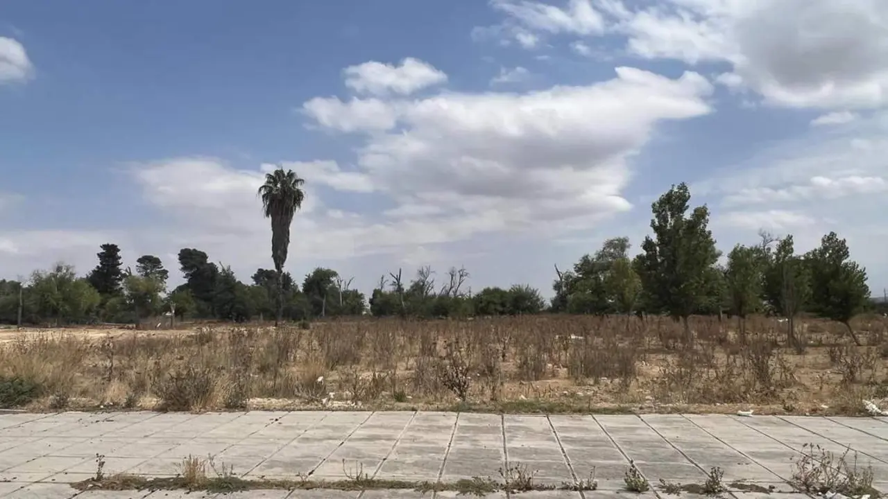  Imagen de la parcela de Pozoalbero donde se desarrollar&aacute; el proyecto.  - Andaluc&iacute;a Informaci&oacute;n 