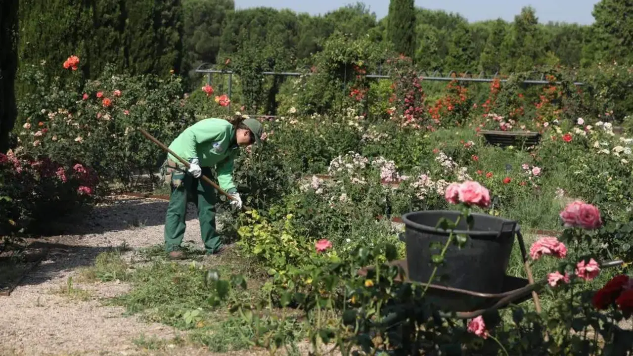 Una mujer empleada en jardiner&iacute;a. - Europa Press (archivo)